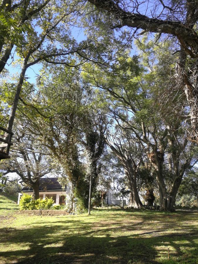 Le Arc Manor House Διαμέρισμα Franschhoek Εξωτερικό φωτογραφία